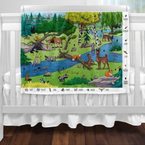 Couverture - À la recherche de… Pour apprendre en s’amusant!