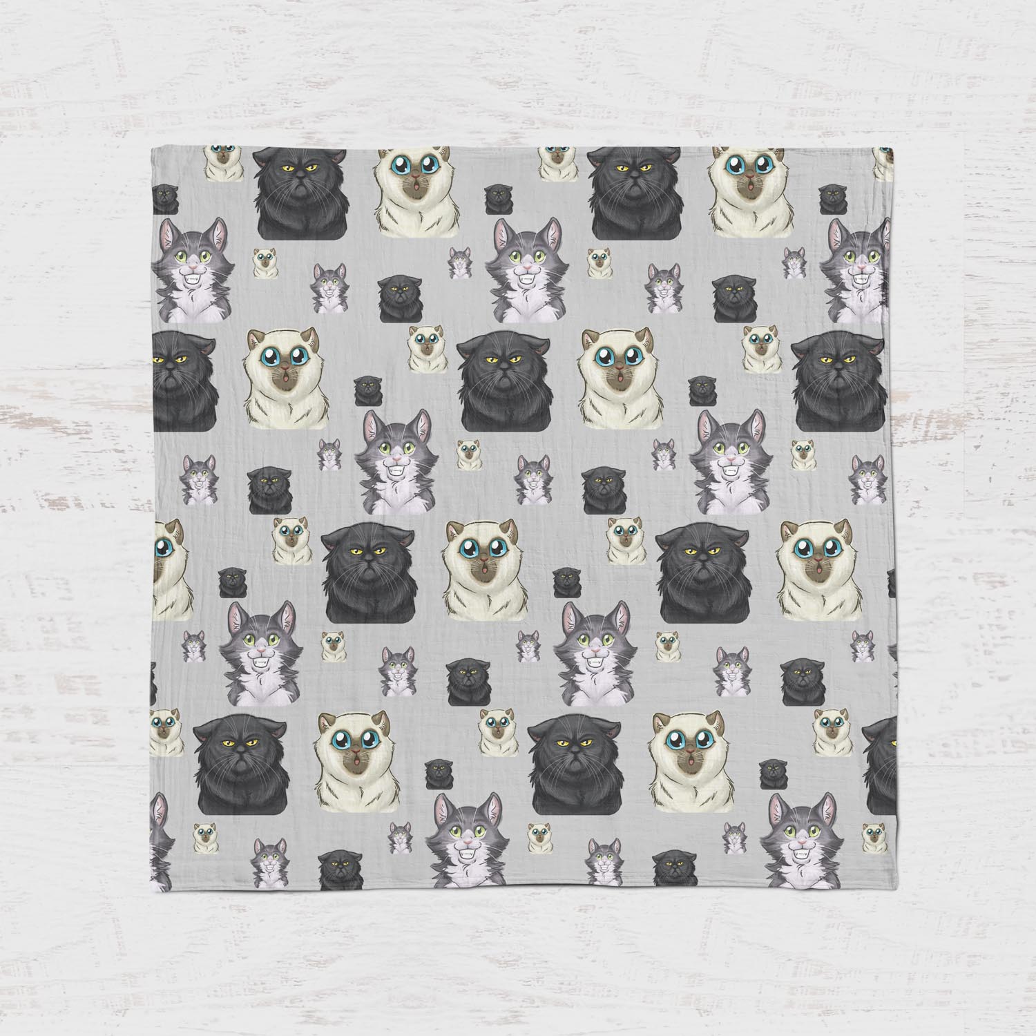 Mousseline - Chat – Image 3