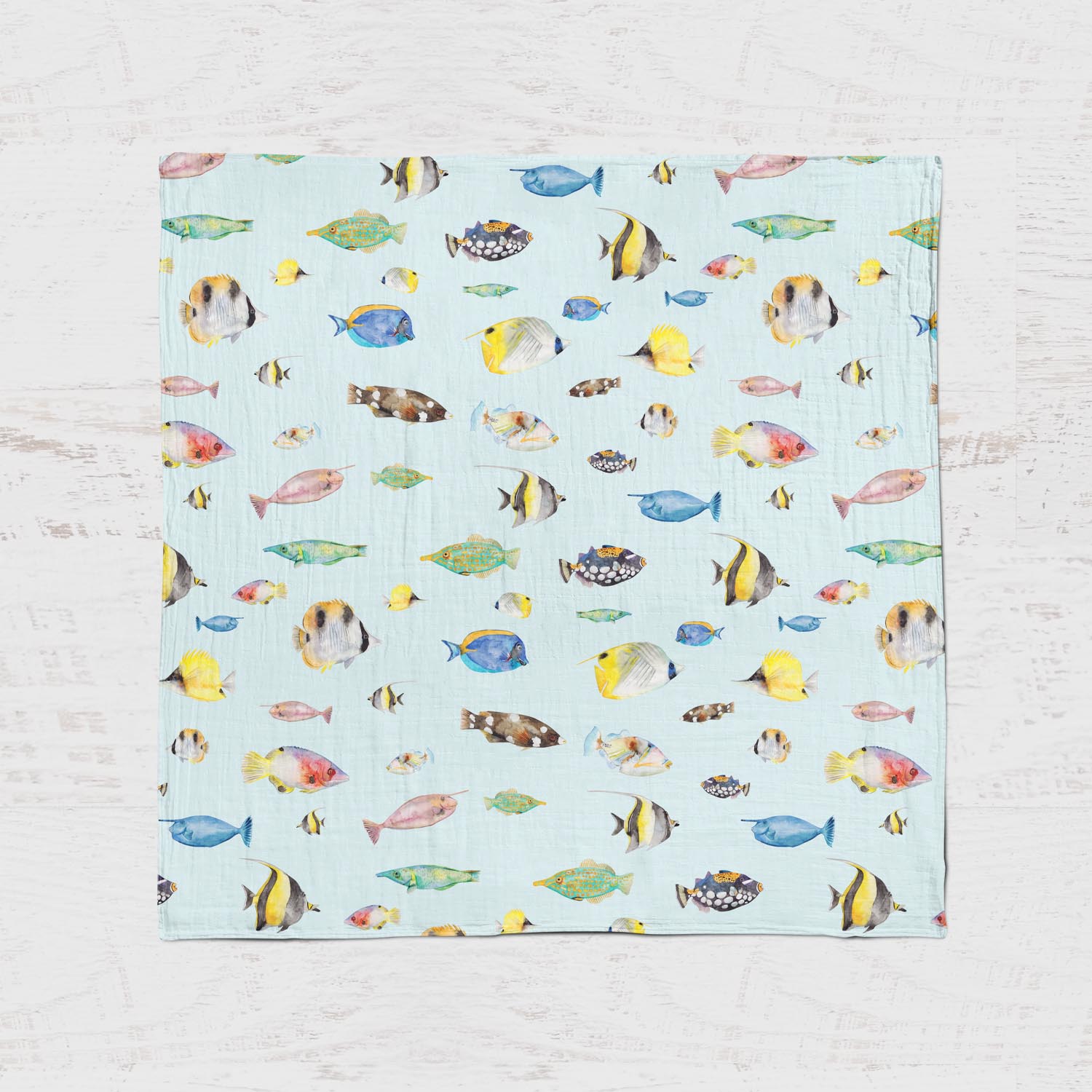 Mousseline - Poisson 24H – Image 3