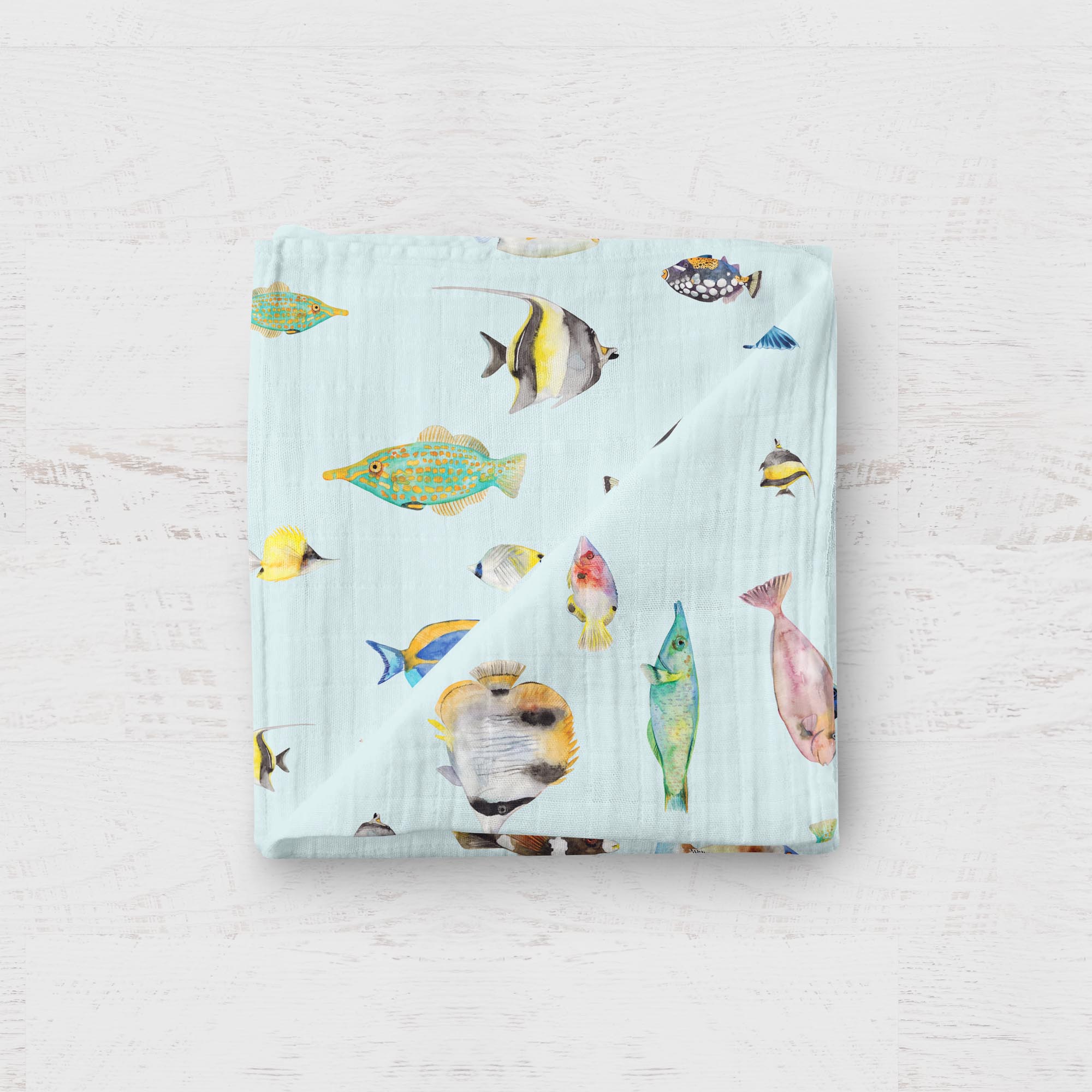 Mousseline - Poisson 24H