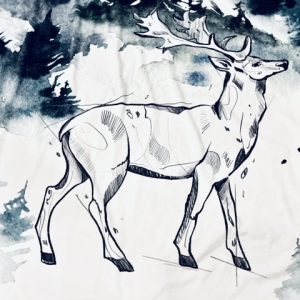 Couverture - Chevreuil des montagnes