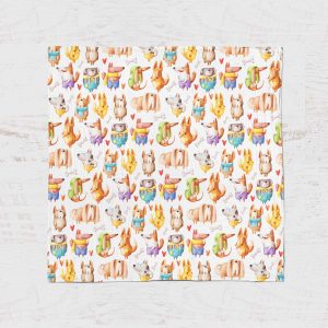 Alternative view of Mousseline - Chien rigolo 24H