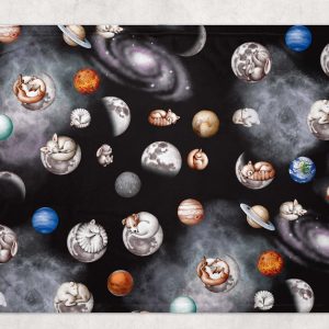 Alternative view of Couverture - Univers endormi