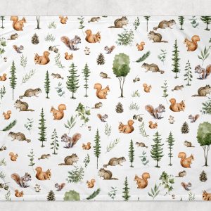 Alternative view of Couverture - Écureuil des  bois