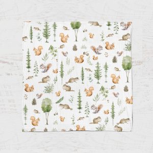 Alternative view of Mousseline - Écureuil des bois 24h