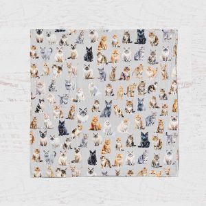 Alternative view of Mousseline - Chevaux 24h