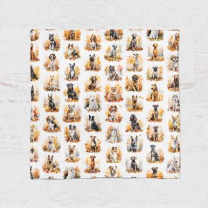 Alternative view of Mousseline - Chien d'automne 24h