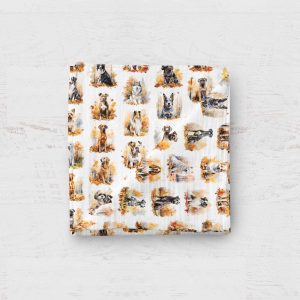 Mousseline - Chien d'automne 24h