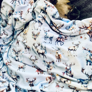 Alternative view of Couverture - Renne nordique