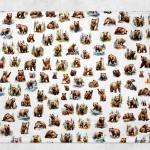 Alternative view of Couverture - Grizzli